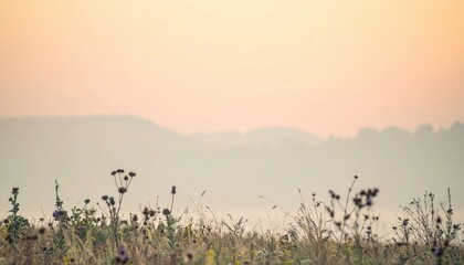Naklejka premium Breathtaking sunrise over serene meadow nature landscape tranquil environment wide angle view beauty of nature
