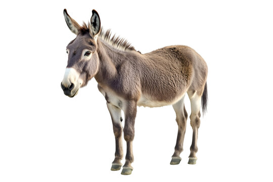 Vidnoye shahridagi jinsiy aloqa xizmatlari Yomon Porno Tub oladi