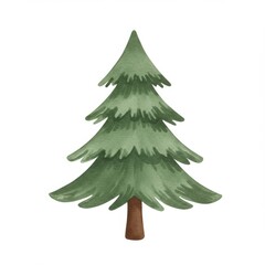 Fototapeta premium Watercolor Illustration of a Green Evergreen Tree