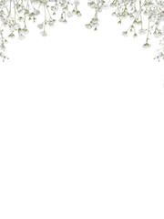 Pink baby's breath flower png. Gypsophila pink white floral design isolated on transparent background Flower frame png. empty space for text. For wedding invitations, floral branding, memorial cards.