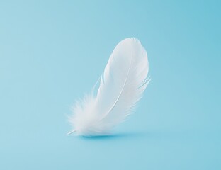 Delicate white feather on a light blue background