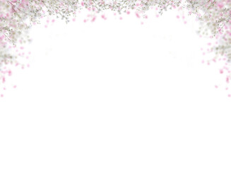 Pink baby's breath flower png. Gypsophila pink white floral design isolated on transparent background Flower frame png. empty space for text. For wedding invitations, floral branding, memorial cards.