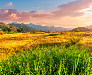 Obraz premium summer of spring landscape of green grass meadow with great beautiful mountains and awersome golden cloudy sunset.