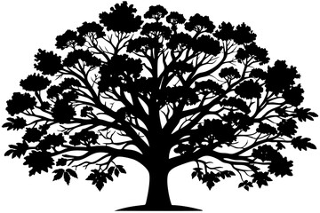 Obraz premium Majestic Black Silhouette of a Large Deciduous Tree