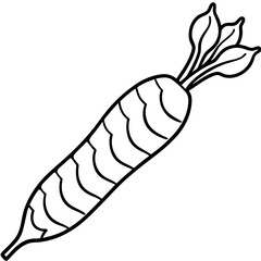 Horseradish line art vector