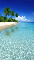 Fototapeta premium White sandy beach with green palm trees under a clear blue sky, tropical coastal landscape in daylight.