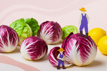 Cultivating giants in field these vibrant radicchio and lettuce heads with lemons inspire sense of growth and creativity