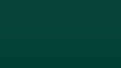 A deep, dark evergreen green solid color background