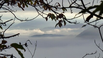 nebbia tra le colline e nel bosco lungo la via Francigena tra Vecchietto e Ponzano Superiore
