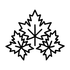 Maple Leaves Cluster Autumn Icon Design