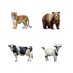 Obraz premium set of animals