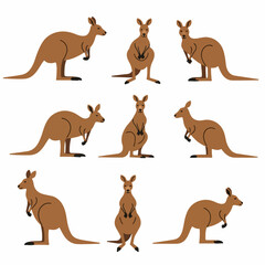 Playful Kangaroo Positives: Set of illustrations featuring a collection of lively kangaroos. Each kangaroo showcasing a distinct pose, capturing the essence of australian animal