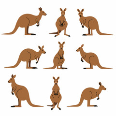 Kangaroo Illustration Set: This charming collection of nine illustrations features kangaroos in various poses, showcasing their iconic features and graceful movements.