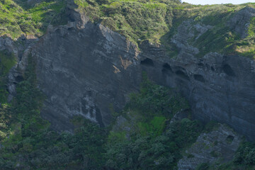 Volcanic cliff face, natural landscape, Seongsan Ilchulbong, Jeju, South Korea, with lush greenery and geological textures