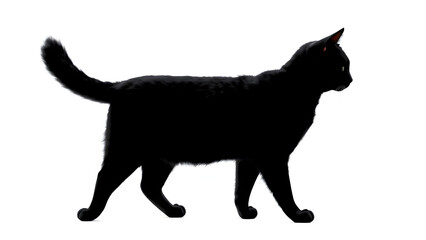 Obraz premium Big silhouette cat on white background