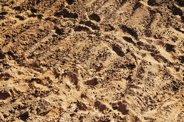 Dry sand with tracks. Many footprints. Rough dry soil. Sunlit sand surface. Outdoor terrain detail. Random shapes and lines. Natural messy ground. Brown tones texture.