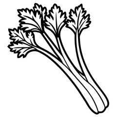 Celery line art vector