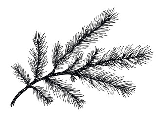 Simplified one-color christmas tree branch illustration nature graphic design minimalist environment artistic viewpoint