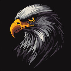 Vector Illustration Of An American Bald Eagle Head With Golden Beak Isolated On Black Background