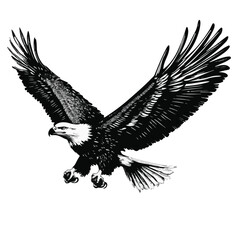 Majestic Bald Eagle Vector Illustration Spreading Wings Symbol Of Freedom And Strength Nature Wildlife American Icon