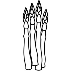 Asparagus line art vector