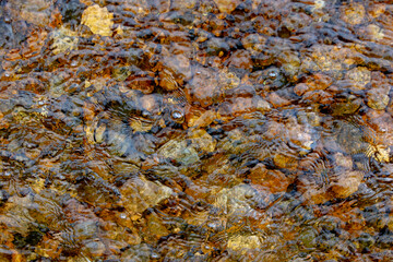 Clear mountain waters gently ripple over smooth, multicolored river rocks in Lyons, Colorado