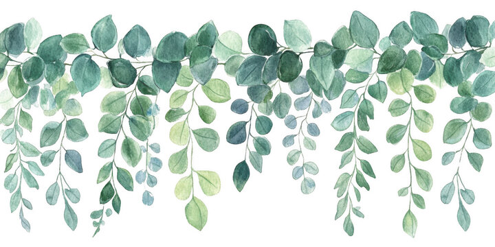 Top Watercolor Eucalyptus Botanical Hanging Border Delicate Greenery Frame for Soft Floral Design, botanical leaf green leaf border frame top for copy space birthday wedding decorative border PNG
