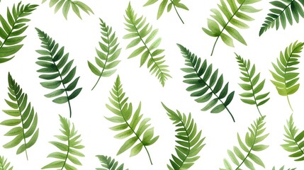 Detailed watercolor painting of green fern leaves against a clean white background
