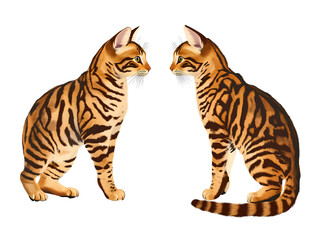 Full-body realistic photo of two Bengal cats isolated on transparent background.