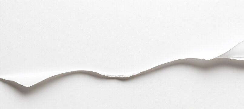 Ripped white paper texture background torn curl edge