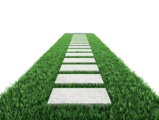 Garden pathway leading through lush green grass