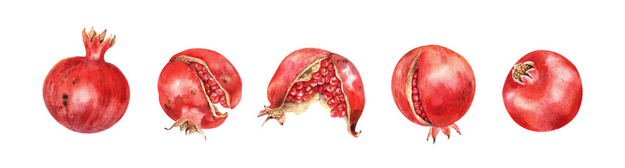 Juicy red pomegranates watercolor clip art. Hand drawn illustration isolated on white. Tropical ripe fruits. For floral design, stickers, summer decor, cards, prints.