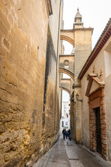 a cobbled street at the rear side of the Basilica of Saint Mary of the Assumption in Arcos de la Frontera, province of Cádiz, Andalusia, Spain