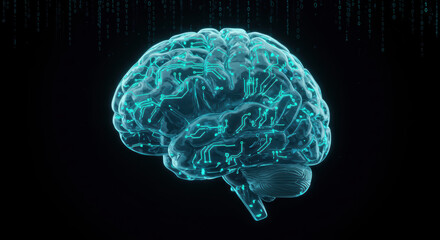 Digital illustration of human brain with teal circuits