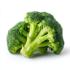 Fresh Green Broccoli Floret Isolated on White Background Healthy Vegetable Food