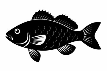 crappie sihouette black vector