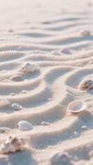 Tranquil Beach Scene with Seashells on Sand, Gentle Waves and Soft Lighting, Inviting Atmosphere for Relaxation and Vacation Vibes 8K