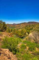 Dry hills with scattered trees in the vicinity of Blinman, Flinders Ranges, South Australia
