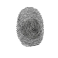 fingerprint vector illustration