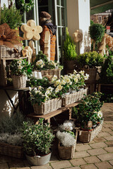 Outdoor garden shop with assorted greenery and wicker baskets on a sunny day