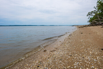 Coastal River shoreline