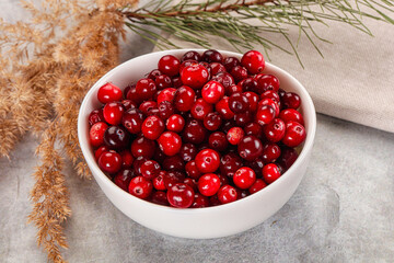Ripe sweet sour cranberry heap