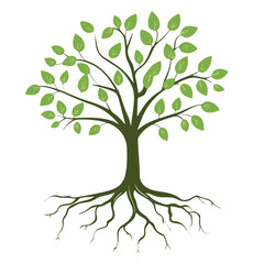 Fototapeta premium Stylized Tree With Roots And Green Leaves Isolated On White Background Vector Illustration Of Growth And Nature