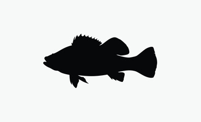 walleye fish silhouette, sharp fin outline, elongated fish body, black white walleye, dorsal fin detail, freshwater fish vector