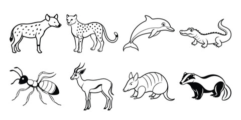 wild animals collection