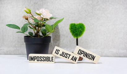 Motivational Inspirational Quote The Impossible is Just an Opinion on wooden blocks