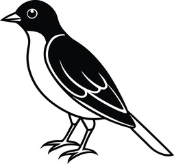 vector illustration of a bird