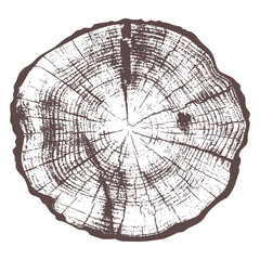 Detailed wood log cross-section illustration showing annual tree rings texture in vintage rustic style, perfect for posters, nature prints, woodworking designs, or eco branding