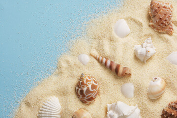 Banner with white and brown shells rests on fine golden sand on a blue background. Place for your text.