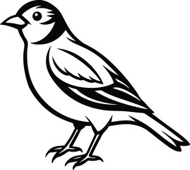 bird on a white background